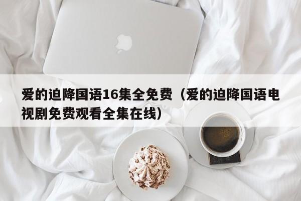 爱的迫降国语16集全免费（爱的迫降国语电视剧免费观看全集在线）