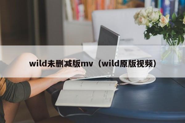 wild未删减版mv（wild原版视频）