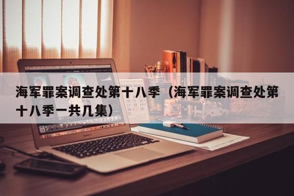 海军罪案调查处第十八季（海军罪案调查处第十八季一共几集）