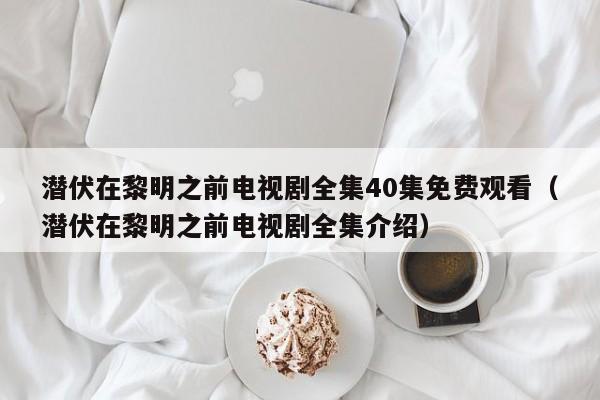 潜伏在黎明之前电视剧全集40集免费观看（潜伏在黎明之前电视剧全集介绍）