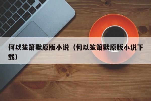 何以笙箫默原版小说（何以笙箫默原版小说下载）