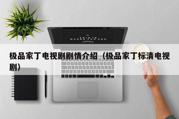 极品家丁电视剧剧情介绍（极品家丁标清电视剧）