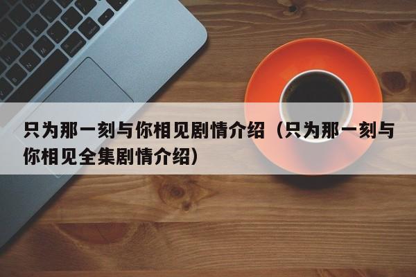 只为那一刻与你相见剧情介绍（只为那一刻与你相见全集剧情介绍）