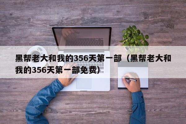 黑帮老大和我的356天第一部（黑帮老大和我的356天第一部免费）