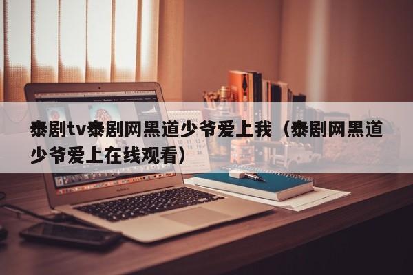 泰剧tv泰剧网黑道少爷爱上我（泰剧网黑道少爷爱上在线观看）