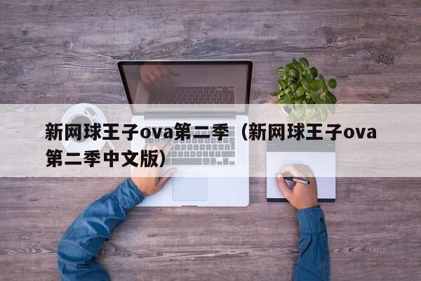 新网球王子ova第二季（新网球王子ova第二季中文版）