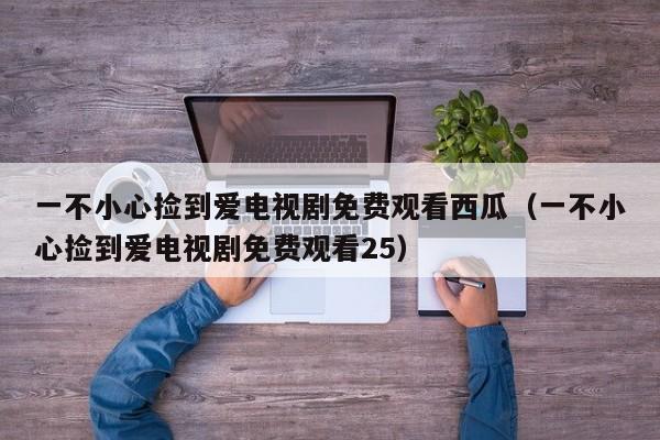一不小心捡到爱电视剧免费观看西瓜（一不小心捡到爱电视剧免费观看25）