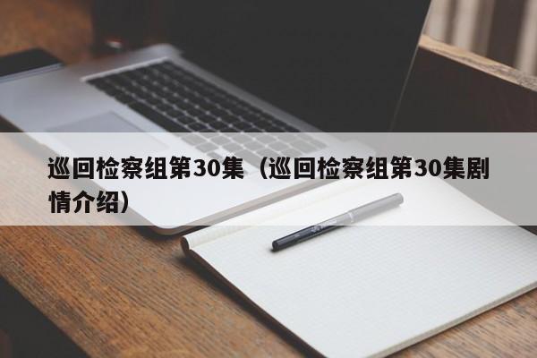 巡回检察组第30集(巡回检察组第30集剧情介绍)