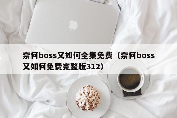 奈何boss又如何全集免费（奈何boss又如何免费完整版312）