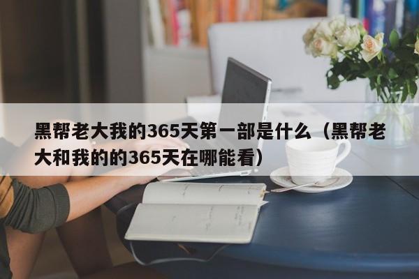 黑帮老大我的365天第一部是什么（黑帮老大和我的的365天在哪能看）