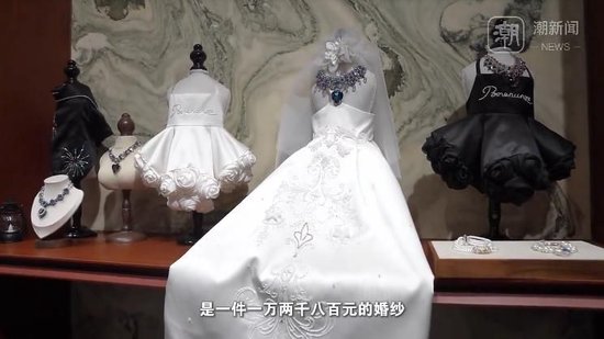 杭州现“12800元宠物婚纱”,店主回应热议:买家定制,买的是情感