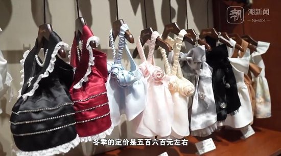 杭州现“12800元宠物婚纱”,店主回应热议:买家定制,买的是情感